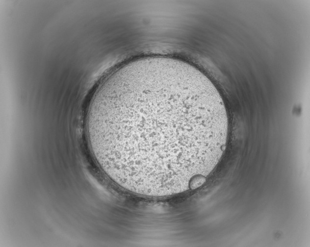 X0000093110683200710241242