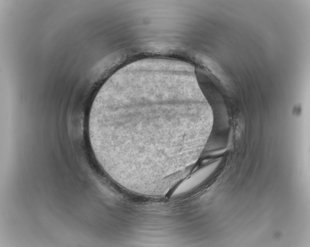 X0000093110685200710241242