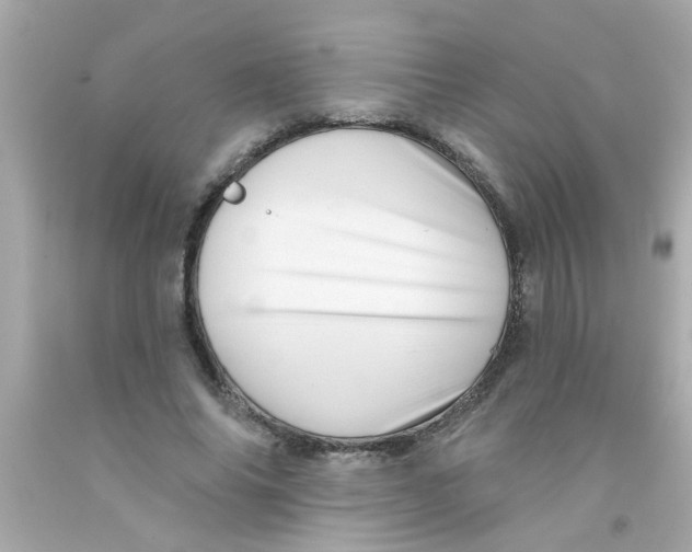 X0000093110686200710241242