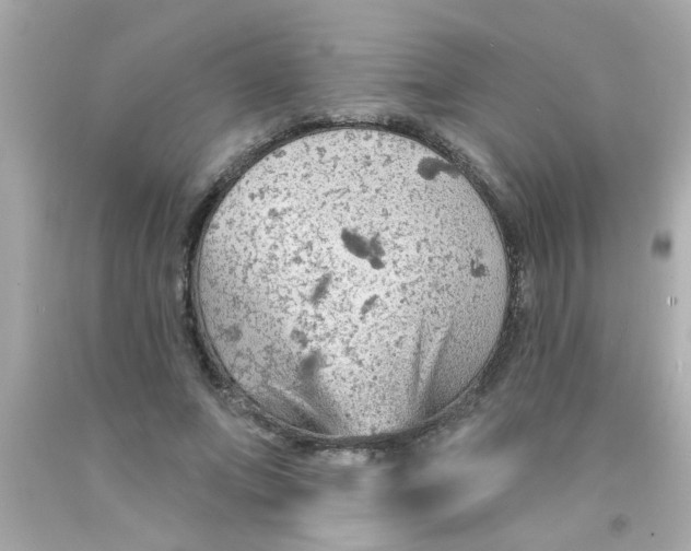 X0000093110687200710241242