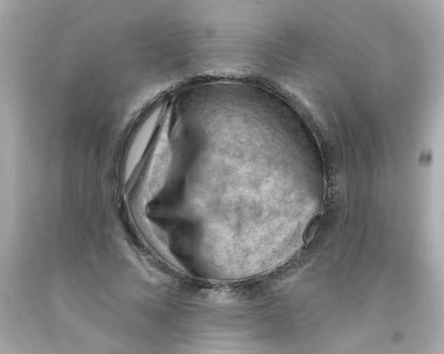 X0000093110688200710241242