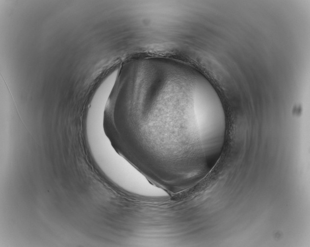 X0000093110689200710241242