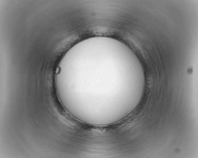 X0000093110690200710241242