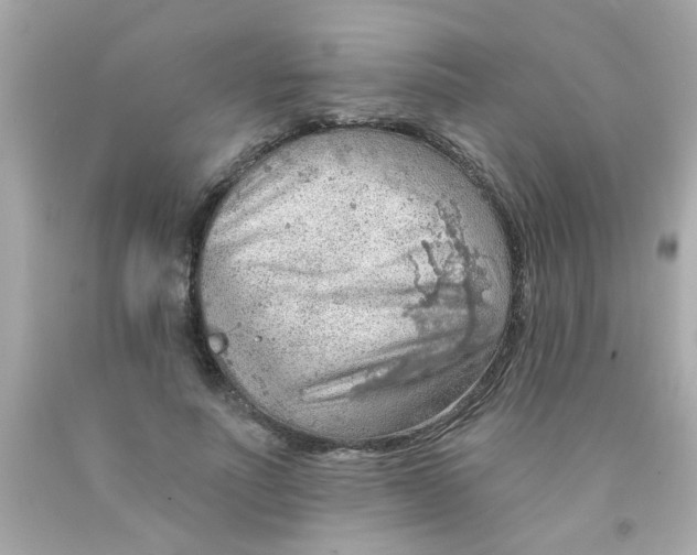 X0000093110691200710241242