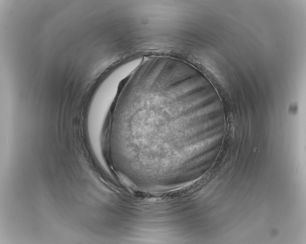 X0000093110692200710241242