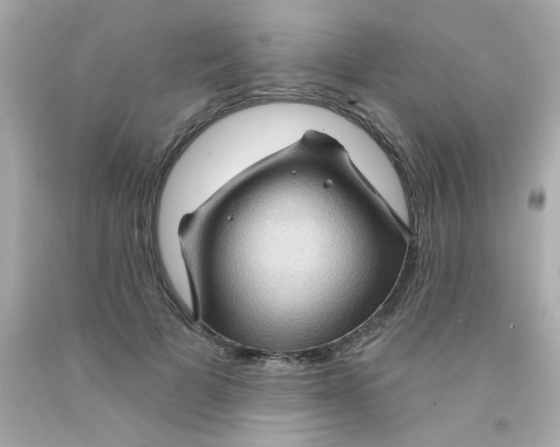 X0000093110697200710241242