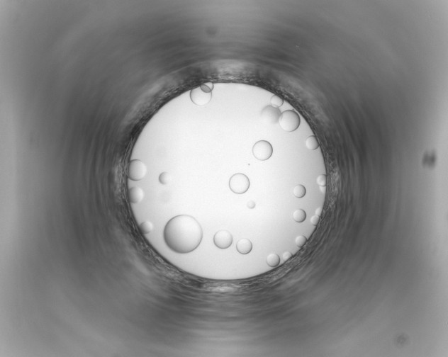 X0000093110698200710241242