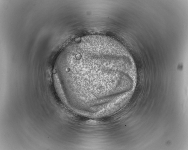 X0000093110699200710241242