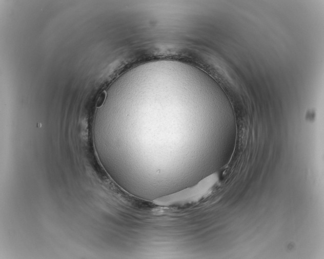 X0000093110700200710241242