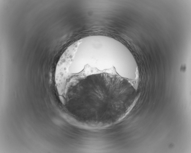 X0000093110703200710241242