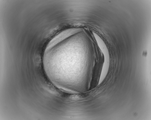 X0000093110704200710241242