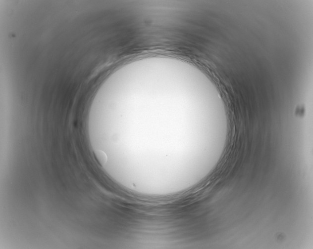 X0000093110705200710241242