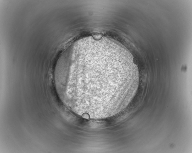 X0000093110707200710241242