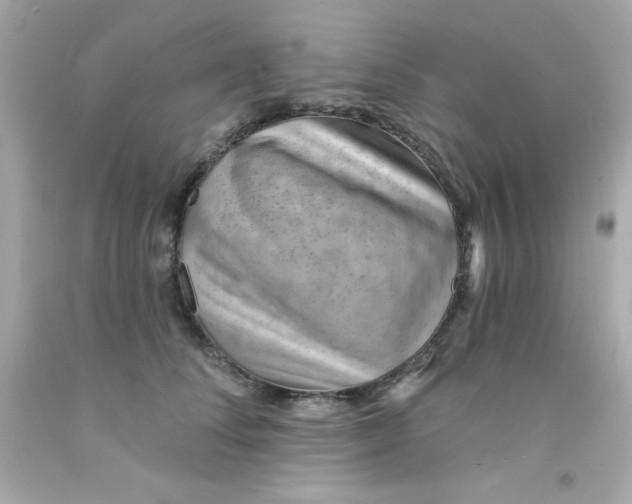 X0000093110708200710241242