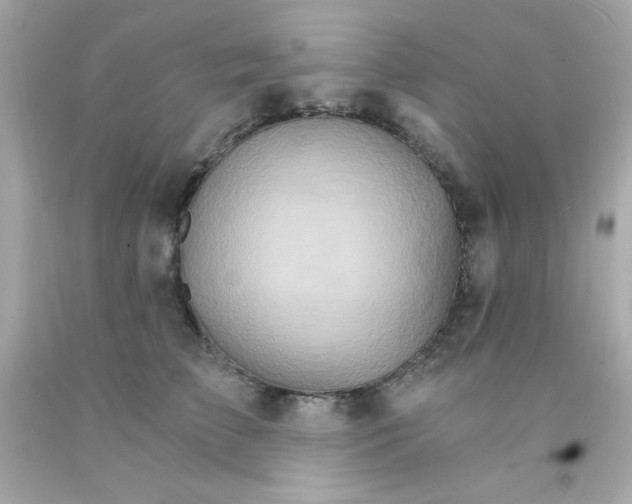 X0000093110709200710241242