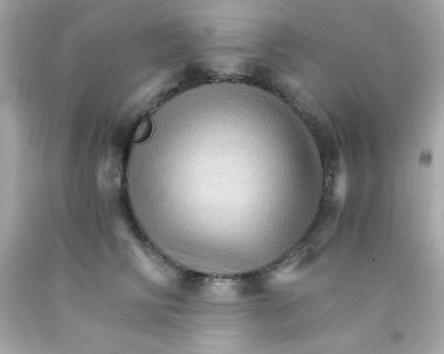 X0000093110710200710241242