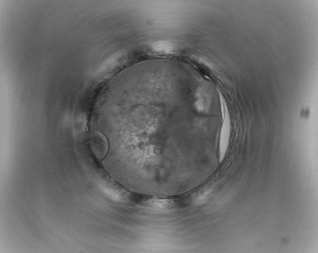 X0000093110711200710241242