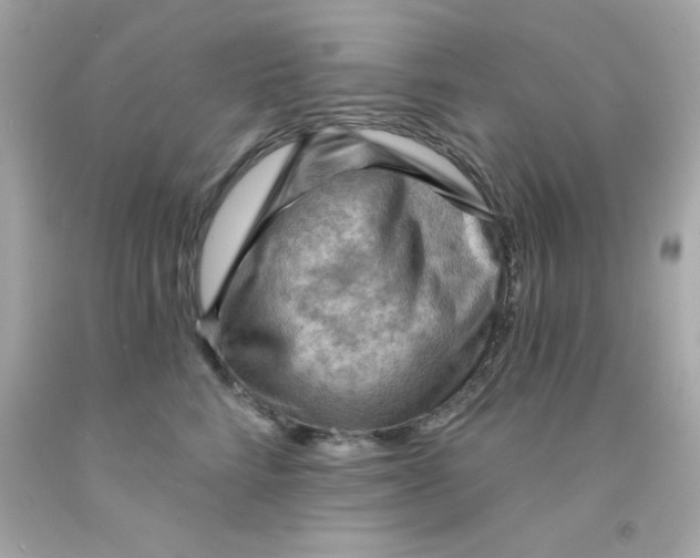 X0000093110712200710241242