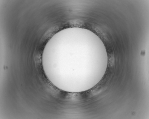 X0000093110713200710241242