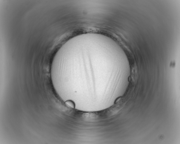 X0000093110714200710241242