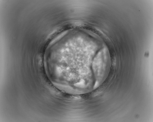 X0000093110715200710241242