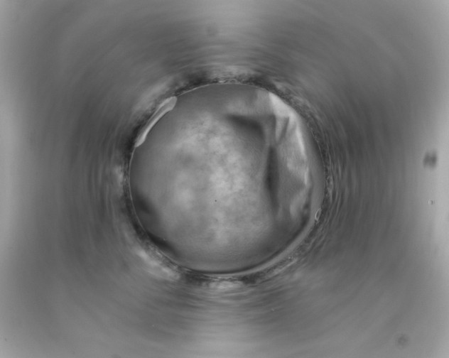 X0000093110716200710241242