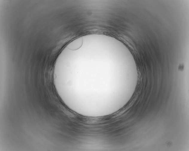 X0000093110717200710241242