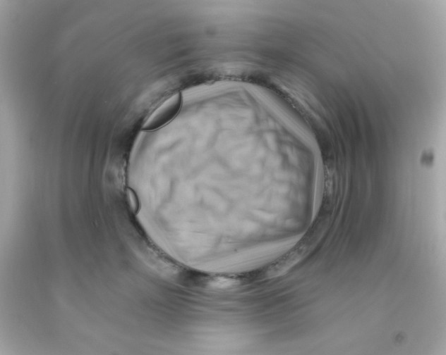 X0000093110718200710241242