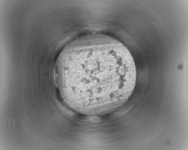 X0000093110719200710241242