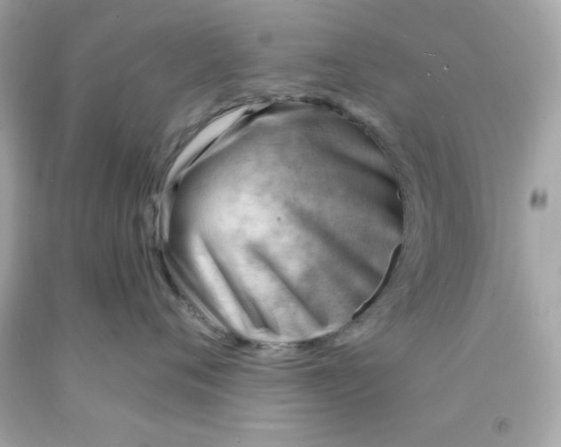 X0000093110720200710241242