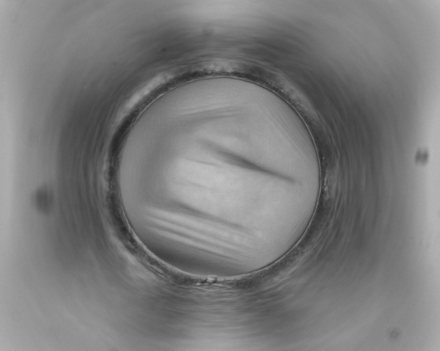 X0000093110722200710241241