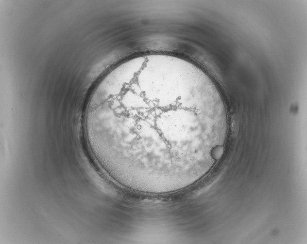 X0000093110725200710241241