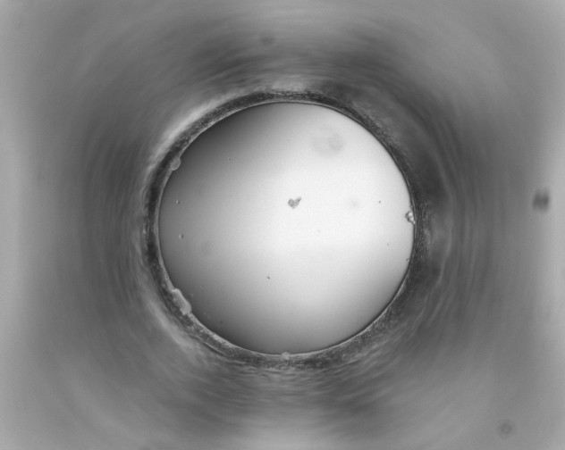 X0000093110728200710241241