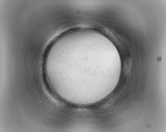 X0000093110730200710241241