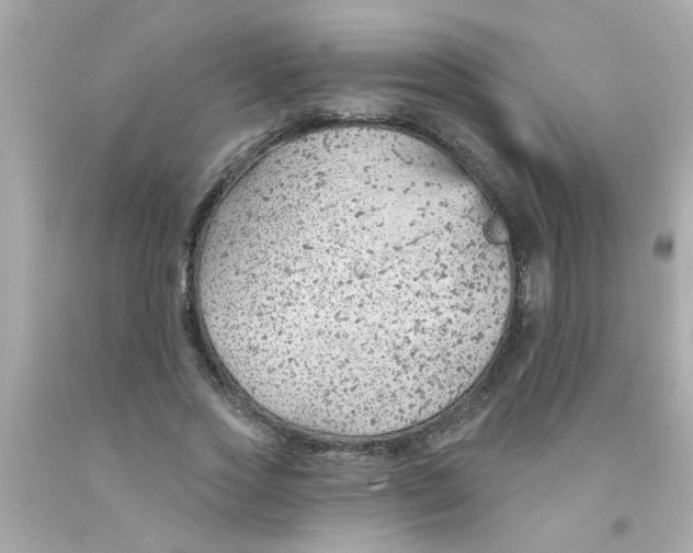 X0000093110733200710241241