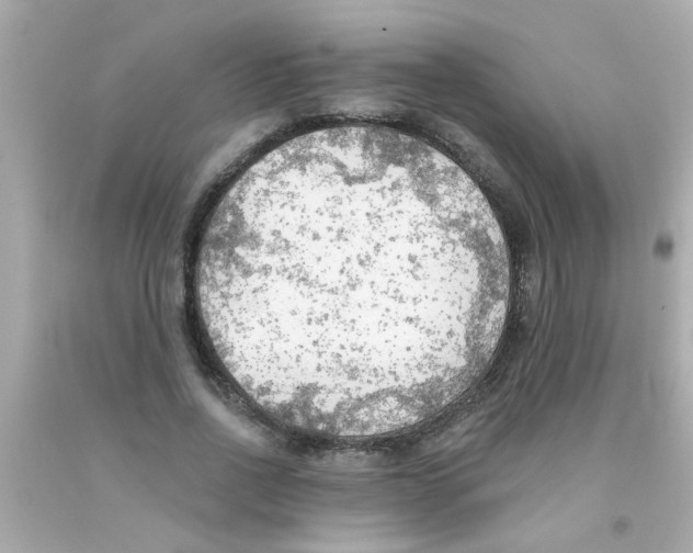 X0000093110734200710241241