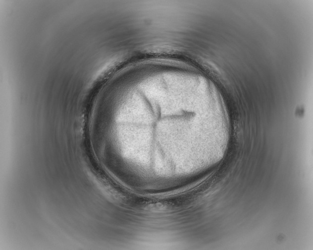 X0000093110735200710241241