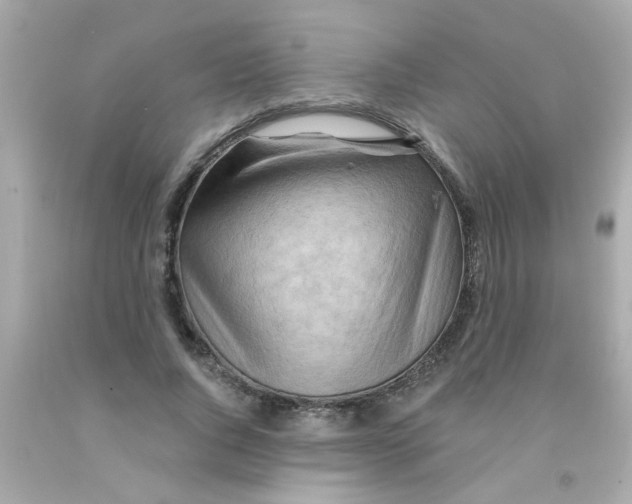 X0000093110736200710241241