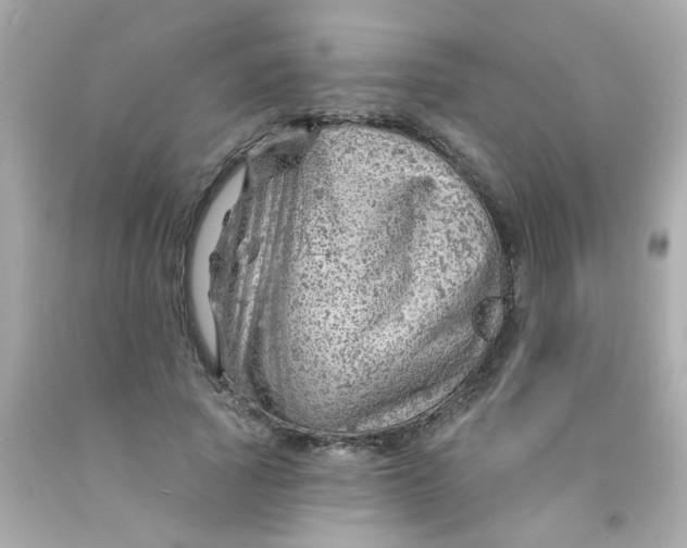 X0000093110737200710241241