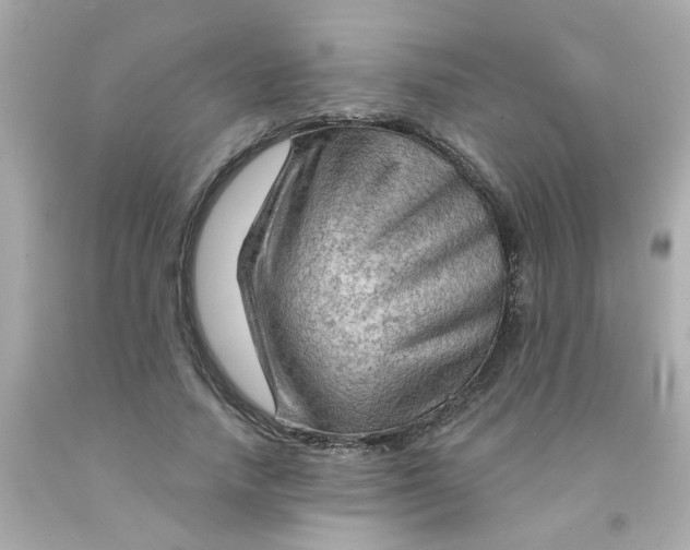 X0000093110738200710241241