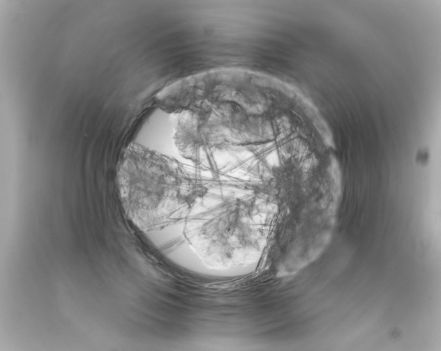 X0000093110741200710241241