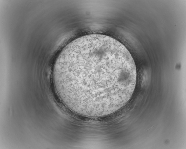 X0000093110742200710241241