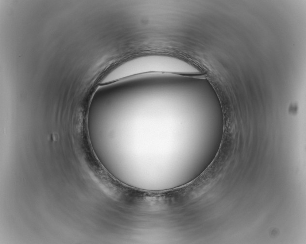 X0000093110744200710241241