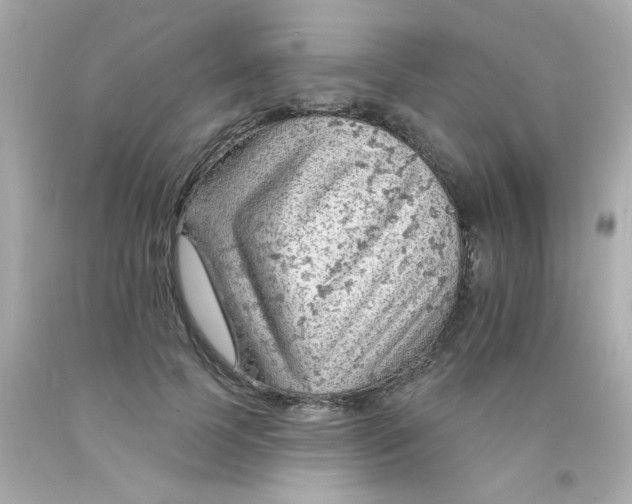 X0000093110745200710241242