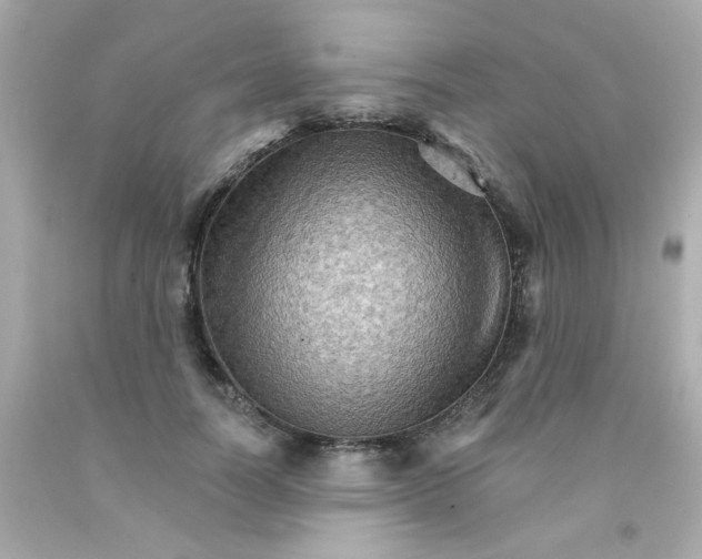 X0000093110746200710241242