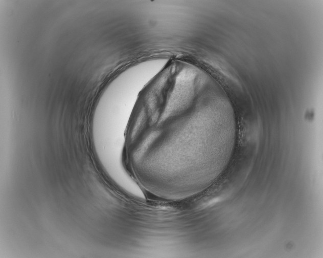 X0000093110748200710241242