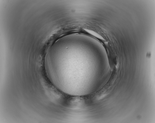 X0000093110750200710241242