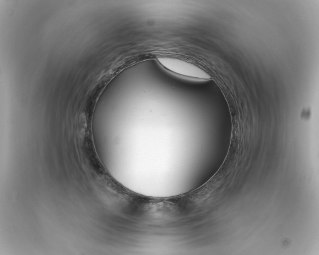 X0000093110752200710241242