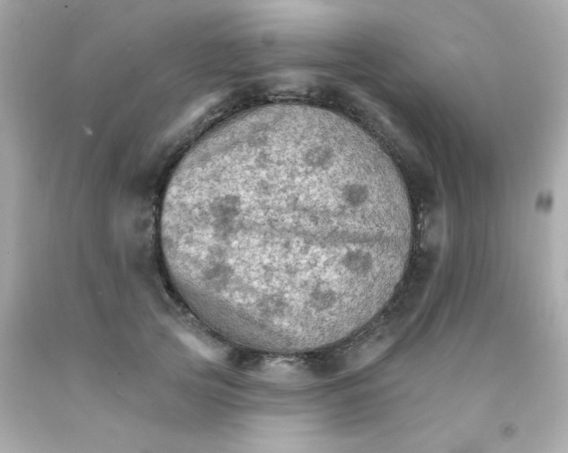 X0000093110753200710241242