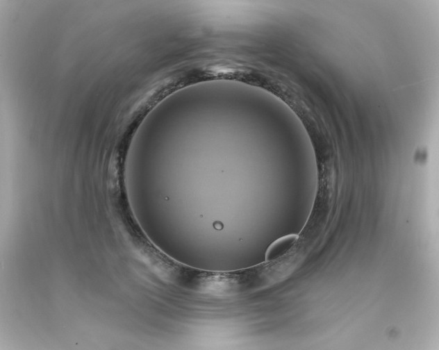 X0000093110754200710241242